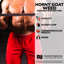 Horny Goat Weed Powder | 50% Icariin