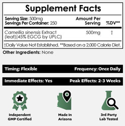 Green Tea Extract Powder