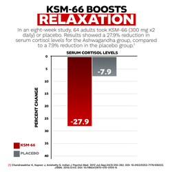 KSM-66 Capsules | Ashwagandha Root