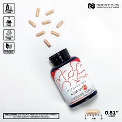 KSM-66 Capsules | Ashwagandha Root