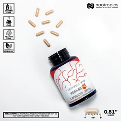 KSM-66 Capsules | Ashwagandha Root