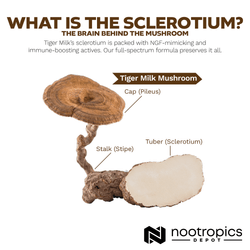 Tiger Milk Mushroom Capsules