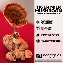 Tiger Milk Mushroom Capsules