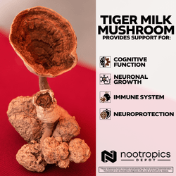 Tiger Milk Mushroom Capsules