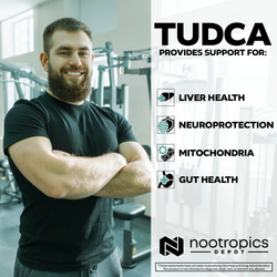 TUDCA Capsules | Tauroursodeoxycholic Acid