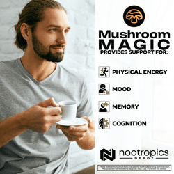 Mushroom Magic Powder Blend