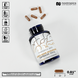 Lion's Mane Mushroom 8:1 Dual Extract Capsules