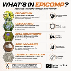 Epicomp | Body Recomposition Enhancer
