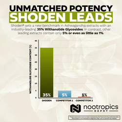 Shoden® Ashwagandha Capsules