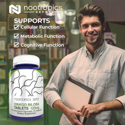 Ginkgo biloba Extract Tablets