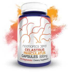 Celastrus paniculatus Extract Capsules