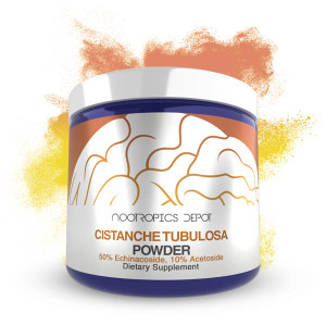 Cistanche Ultra Potent Extract Powder Cistanche Ultra Potent Extract Powder