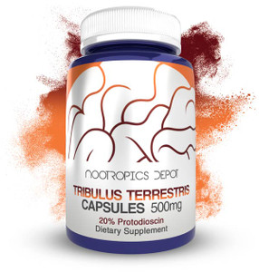 Tribulus terrestris Extract Capsules | 20% Protodioscin Tribulus terrestris Extract Capsules | 20% Protodioscin