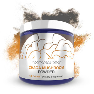 Chaga Mushroom Extract Powder Chaga Mushroom Extract Powder