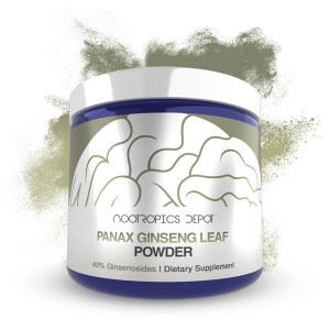Panax Ginseng Leaf Extract  Powder Panax Ginseng Leaf Extract  Powder