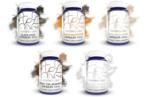 Uncommon Whole Fruiting Body Mushroom Extract Capsules | Sample Pack Uncommon Whole Fruiting Body Mushroom Extract Capsules | Sample Pack