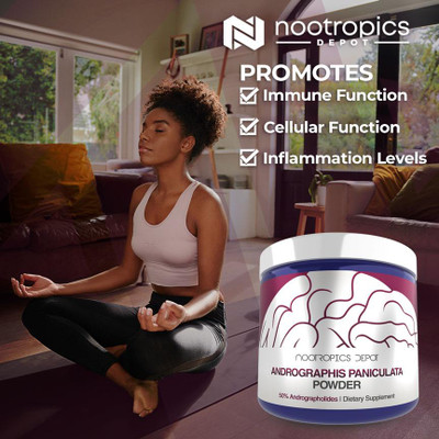 Andrographis paniculata Powder | 50% Andrographolides
