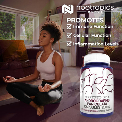 Andrographis paniculata Capsules | 50% Andrographolides