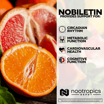 Nobiletin Capsules