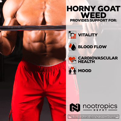 Horny Goat Weed Powder | 50% Icariin