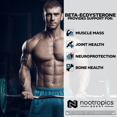 Beta-ecdysterone | 20-Hydroxyecdysone 50% Capsules
