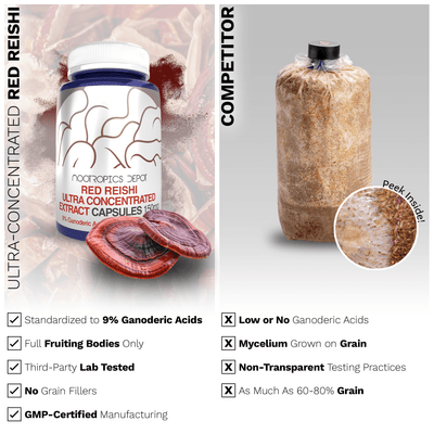 Red Reishi Mushroom Capsules | 9% Ganoderic Acids