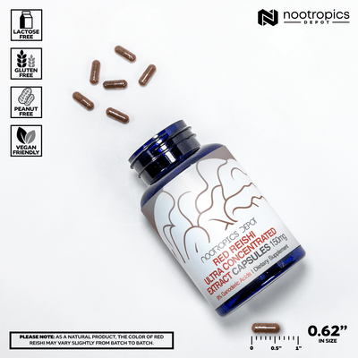 Red Reishi Mushroom Capsules | 9% Ganoderic Acids