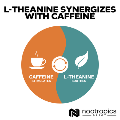 L-Theanine Capsules