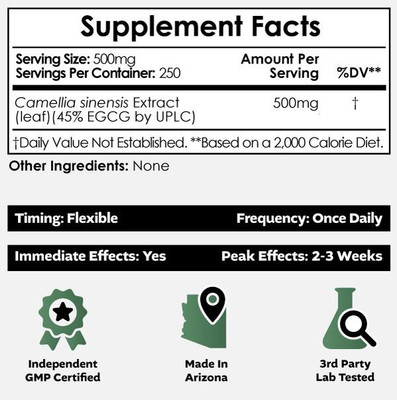 Green Tea Extract Powder