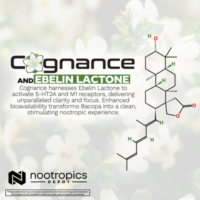 Cognance Enhanced Bacopa Powder