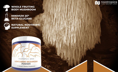 Lion's Mane Extract 1:1 Powder