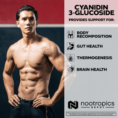 Cyanidin 3-Glucoside Capsules