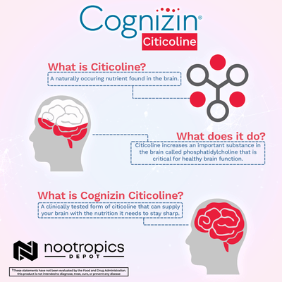 Cognizin Citicoline Capsules