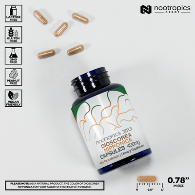 Dioscorea nipponica Capsules | 40% Protodioscin