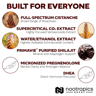 Cistamax Capsules | Optimized Cistanche