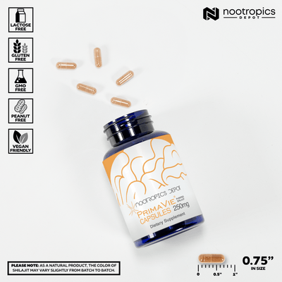 PrimaVie Shilajit Capsules