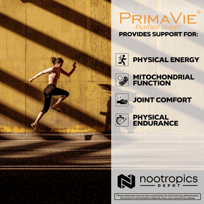 PrimaVie Shilajit Capsules