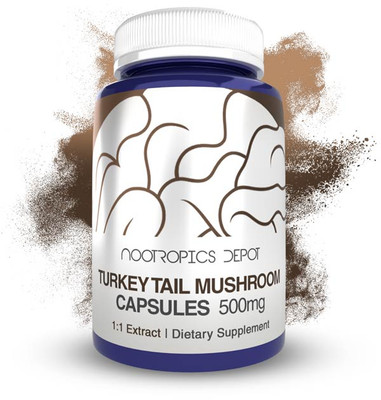 Turkey Tail Mushroom Extract Capsules