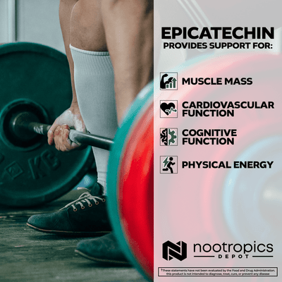 (-)- Epicatechin 90% + Piperine Tablets