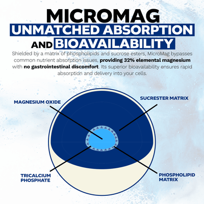 MicroMag Capsules | Sucrosomial Magnesium