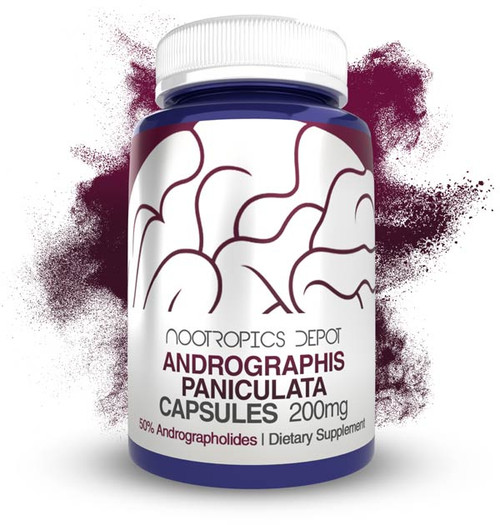 Andrographis paniculata Capsules | 50% Andrographolides