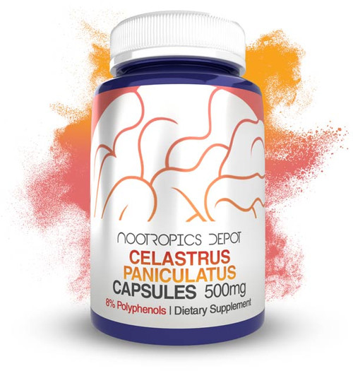 Celastrus paniculatus Extract Capsules