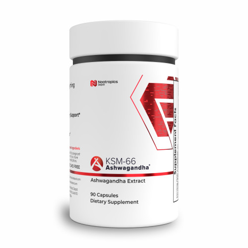 KSM-66 Capsules | Ashwagandha Root