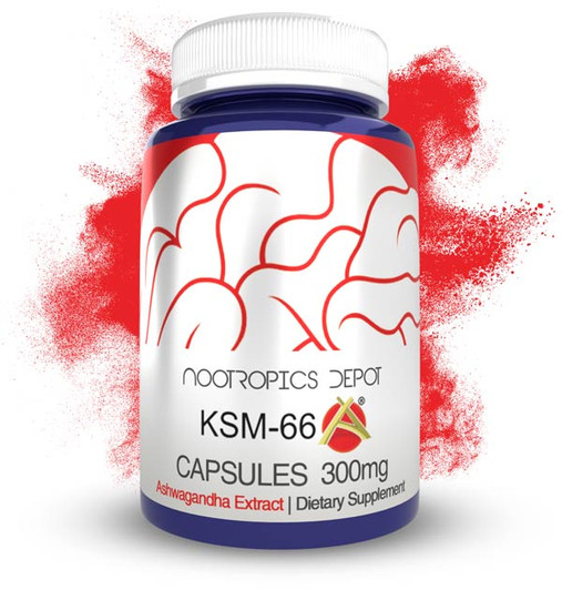 KSM-66 Ashwagandha Extract Capsules | 300mg