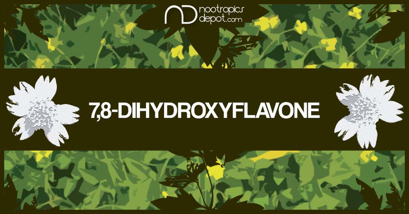 7 8 dihydroxyflavone a brain health supplement that may support 