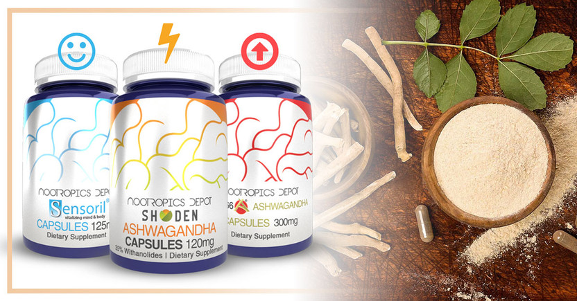 Which is the Best Ashwagandha? - Sensoril vsKSM-66 vsShoden -  Nootropics Depot