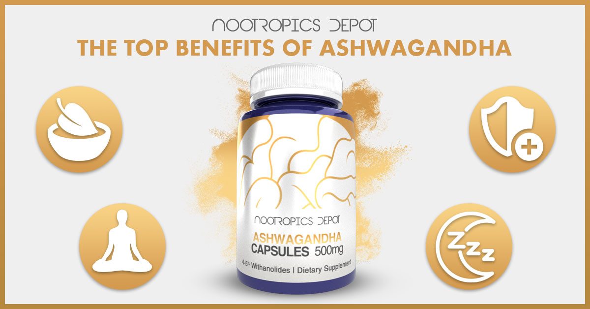 Ashwagandha Benefits An Ayurvedic Herb for Stress Support, Immune