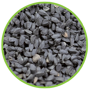 Black Seed Oil Extract