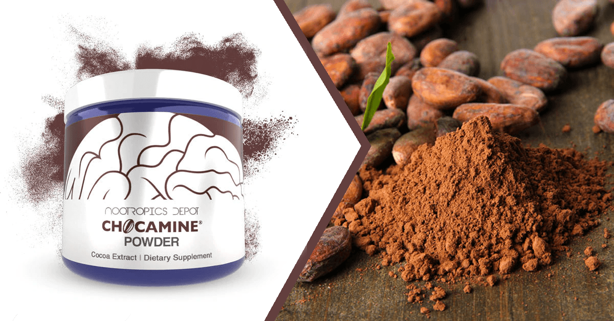 Chocamine A Cocoa Extract For Memory, Focus, and Concentration
