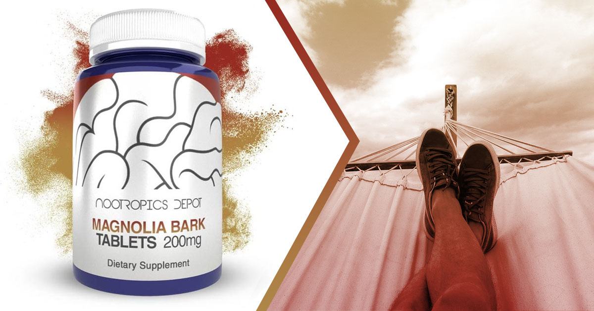 The Top Magnolia Bark Extract Benefits, Uses, And More Nootropics Depot